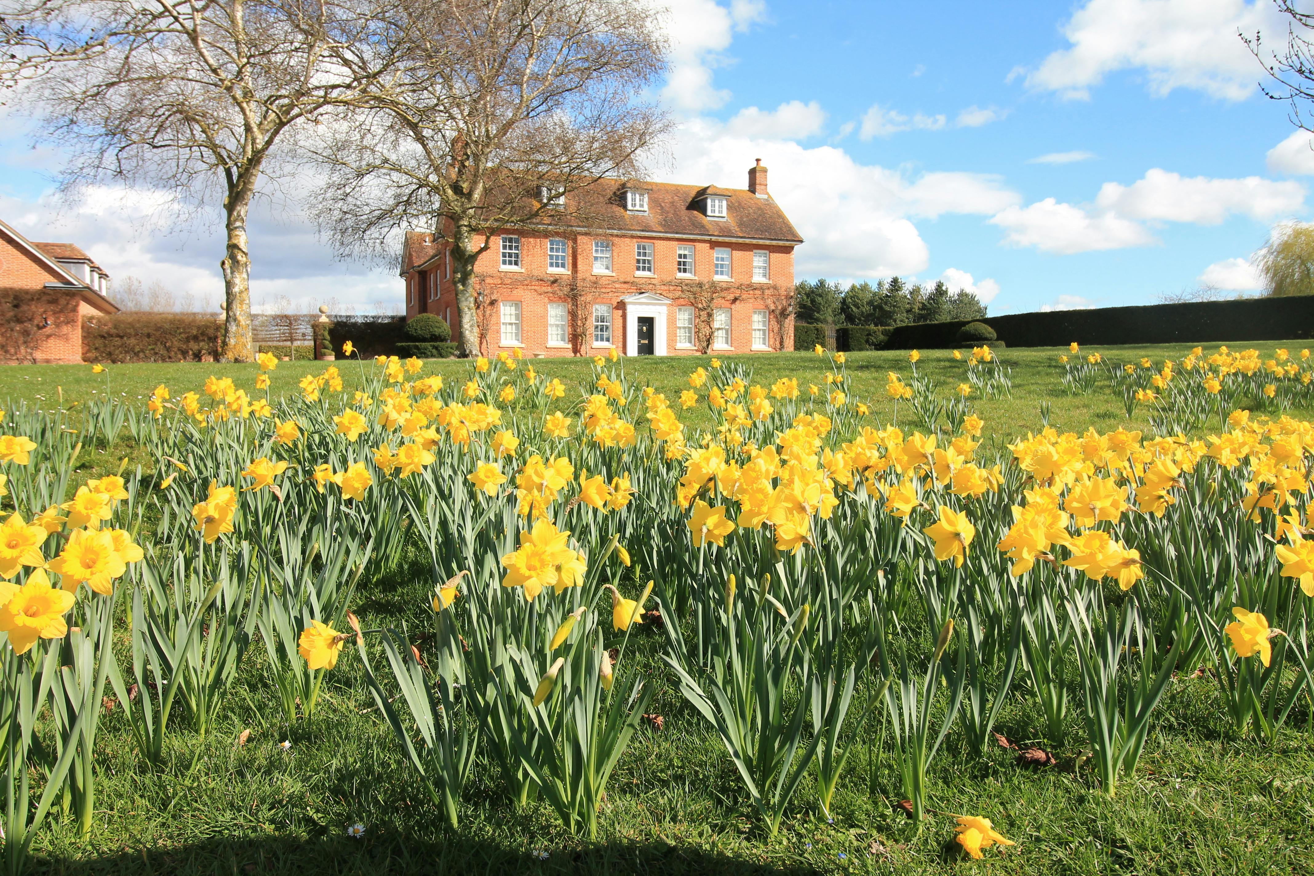 brick victorian house with yellow flowers 
        out front